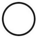 AM151117 - Pentek #10 Hot Water O-Ring #241 Viton